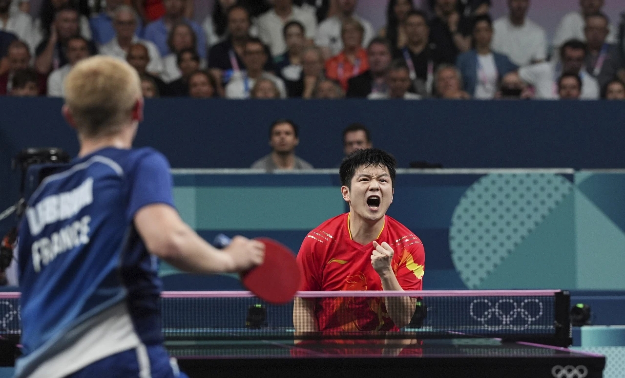 法国队力克葡萄牙队，樊振东高光表现的简单介绍